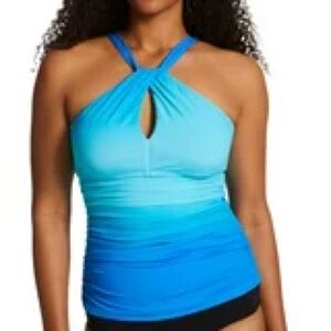 Bleu Rod Beattie Ombré Tankini